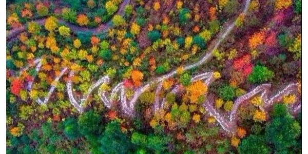 鄉(xiāng)村振興需避免這15個(gè)雷區(qū)！