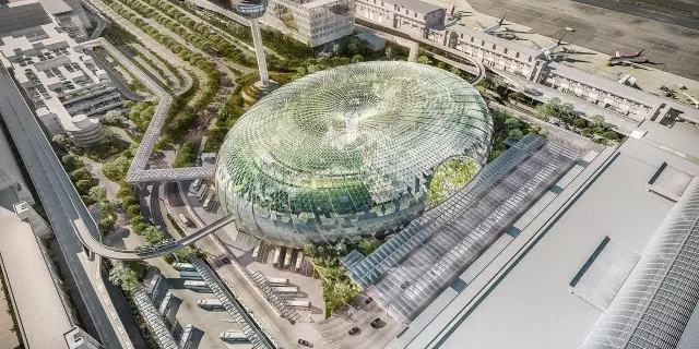 在飛機(jī)場里造了個(gè)森林，從此再也不怕飛機(jī)晚點(diǎn)~