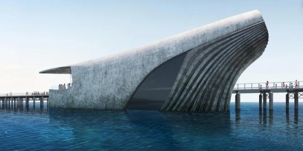世界上最大的鯨魚形自然海洋天文臺已著手建造