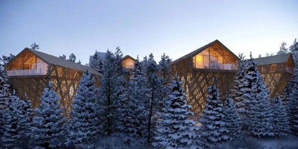 創(chuàng)新下的樹屋，太治愈了！