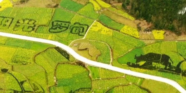 土地的涅槃｜全域土地綜合整治為何爆火？設(shè)計(jì)院如何搶占風(fēng)口？