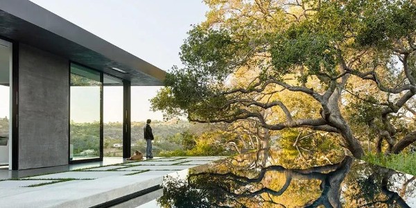 會(huì)種樹(shù)，讓設(shè)計(jì)具有高級(jí)感！