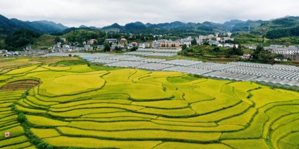 六部門聯(lián)合印發(fā)《中央財政銜接推進鄉(xiāng)村振興補助資金管理辦法》