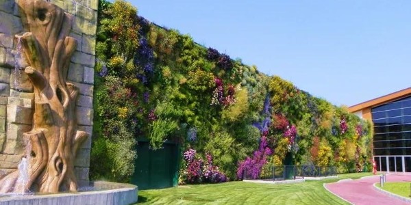 驚艷極了，還能這樣做綠化？