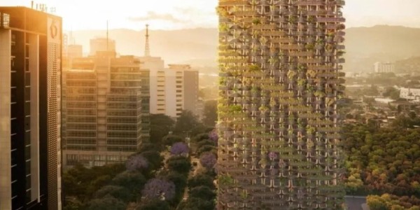 這才叫綠色建筑！用木頭代替鋼筋水泥，30000多植物栽在陽臺！